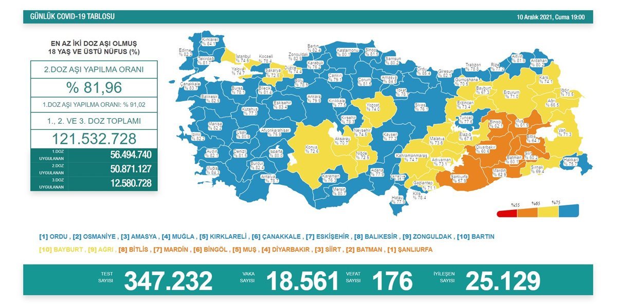 10 aralık koronavirüs tablosu